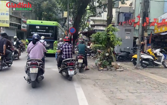 Bất ngờ trước giá tòa chung cư mini trục đường Hoàng Hoa Thám, Hà Nội khi tuyến đường sắt đô thị số 5 khởi động