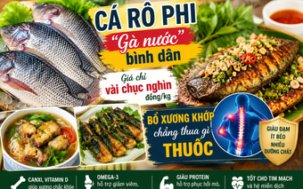 Loại cá được ví như “gà nước”, giá chỉ từ vài chục nghìn đồng/kg nhưng giàu dinh dưỡng, tốt cho xương khớp tuổi trung niên