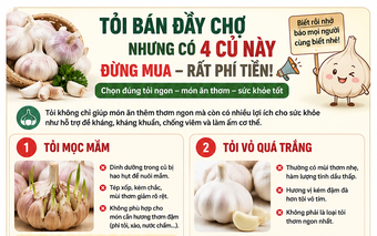 Tỏi bán đầy chợ nhưng có 4 loại 'tưởng ngon mà hóa ra phí tiền': biết sớm để tránh mua nhầm
