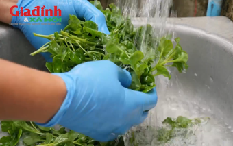 Loại rau chỉ khoảng 25.000-35.000 đồng/kg, ‘khắc tinh của bệnh K’, xưa chỉ mùa đông mới có, nay mùa hè cũng dễ kiếm