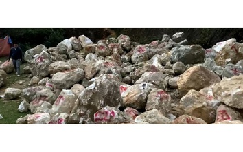 Bắt giữ hơn 480 tấn thạch anh không phép