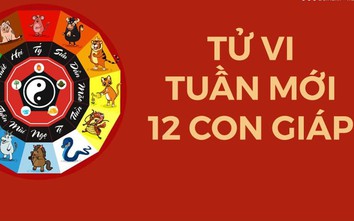 Tử vi tuần mới từ 11/3 đến 17/3/2024: Hết lận đận, 4 con giáp này mở cửa đón Thần Tài, thu nhập nhiều khởi sắc