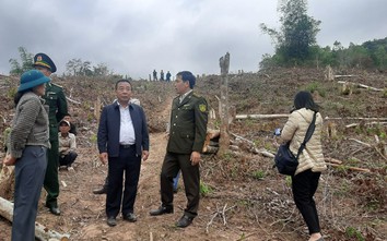 Xử lý nghiêm các cá nhân, tổ chức liên quan đến vụ phá rừng ở vùng biên