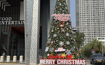 Hà Nội khoác "áo mới", không khí Giáng sinh 2025 rộn ràng trên từng góc phố