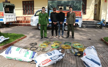 Bắt 2 đối tượng gây hơn 150 vụ trộm dây cáp, thiệt hại gần 1 tỷ đồng
