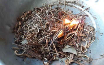 Những nguyên liệu xông nhà mang lại lợi ích phong thủy và sức khỏe nổi bật