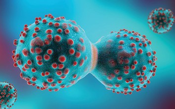 Loại củ ăn mùa đông làm ấm nóng cơ thể, người Việt nên ăn để ngăn ngừa tế bào ung thư