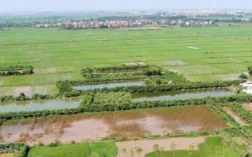 Những trường hợp này được miễn thuế sử dụng đất nông nghiệp từ năm 2026 đến hết năm 2030