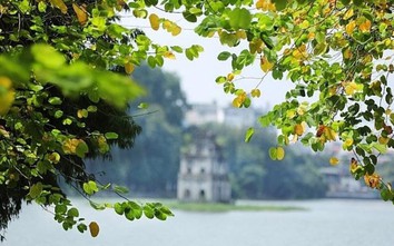 Thời tiết hôm nay 11/10 ra sao?