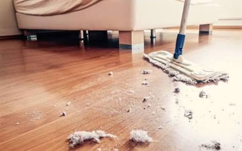 Chỉ số ô nhiễm không khí (AQI) tăng vọt, 7 cách loại bỏ bụi mịn trong nhà nhanh chóng
