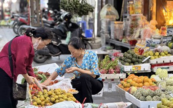 Hồng Việt Nam và hồng Trung Quốc, chỉ cần nhìn vào đặc điểm này người tiêu dùng có thể phân biệt dễ dàng 