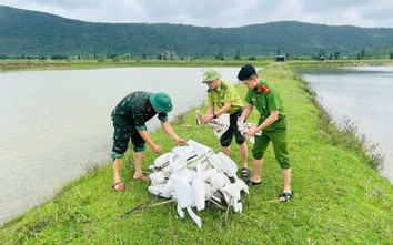 Hà Tĩnh tiêu hủy hơn 52.400 dụng cụ đánh bắt chim trời