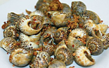 Ốc bông – nhìn tưởng 'bình thường' mà chứa loạt vi chất 'vàng' cho xương, miễn dịch và tim mạch