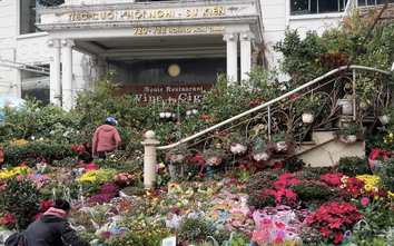 Chợ Bưởi nhộn nhịp người dân sắm Tết