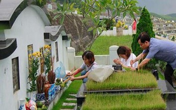 2 ngày đẹp nhất, năng lượng cao và tiện nhất để đi tảo mộ Thanh Minh 2026