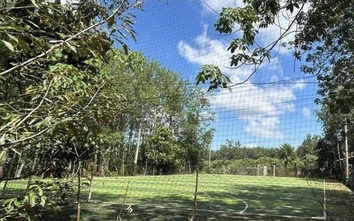 Điều tra 3 vụ điện giật thương tâm ở Đồng Nai