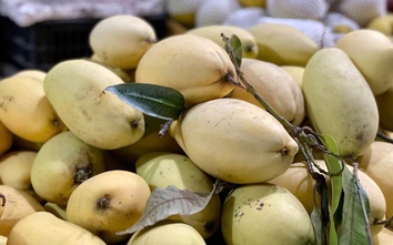 Một loại quả Việt bán đầy chợ giá rẻ bèo, xuất khẩu sang nước ngoài bán đắt như ‘vàng’