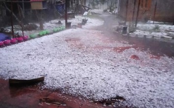 Tin sáng 5/5: Từ 15/5, chậm đóng, trốn đóng BHYT có thể bị phạt tới 70 triệu đồng; Năm 2026 gia tăng mưa lớn cục bộ, thời tiết cực đoan khó lường