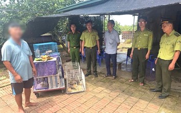 Người đàn ông Hải Phòng bị phạt 3 triệu đồng vì nuôi, nhốt 46 cá thể chim hoang dã