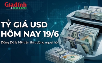Tỷ giá USD hôm nay 19/6: Đồng Đô la Mỹ chợ đen chững giá liên tục mấy ngày liền
