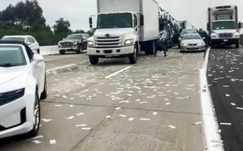Phát hiện 5,2 tỷ đồng tiền mặt rơi vãi trên đường cao tốc, cơ quan chức năng nói gì về việc thu hồi?