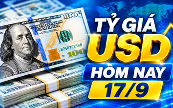 Tỷ giá USD hôm nay 17/9: Đồng Đô la Mỹ phục hồi mạnh