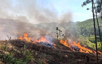Cháy rừng, hai người tử vong