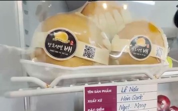 Hà Nội: Hàng trăm quả lê nâu, lê sữa Trung Quốc được 'phù phép' thành lê Hàn Quốc chính hãng, giá bán trên trời