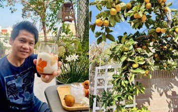 Loại cây trấn trạch hút lộc được 'ông hoàng nhạc đỏ' Trọng Tấn trồng đầy trong vườn nhà