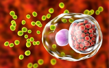 Thanh niên 22 tuổi ở Hà Nội đau họng kéo dài, đi khám mới thừa nhận một sai lầm trong chuyện 'thầm kín'