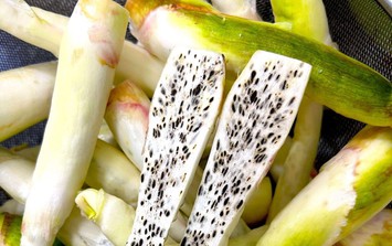 Chỉ từ 25.000 đồng/bó, đặc sản 'sâm trong nước' của Ninh Bình chế biến đủ món ngon ngày lạnh, ăn là nghiền