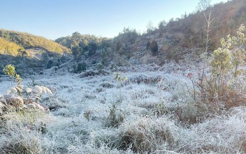 Đạt ngưỡng đỉnh điểm của nhiệt độ thấp nhất, băng giá phủ trắng cây vùng núi cao Y Tý