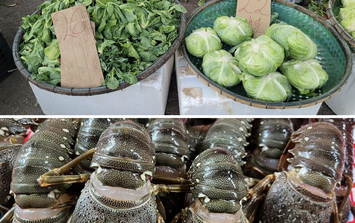 Sau mưa bão, tôm hùm Phú Yên tìm nơi giải cứu từ 180.000 đồng/kg, người dân ở Hà Nội 'đo đếm' từng cọng hành vì rau xanh đắt đỏ