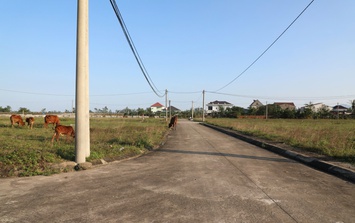 Khu tái định cư khẩn cấp làm xong bỏ không, dân quanh năm chạy lụt