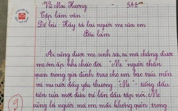 Bài văn tả mẹ đạt 9 điểm gây 'sốt' mạng, tinh tế nhất là lời phê của giáo viên