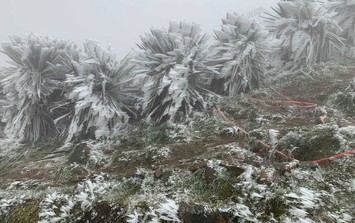 Thông tin mới nhất về đợt không khí lạnh mạnh đang gây rét buốt ở miền Bắc: Rét đậm, rét hại sẽ tăng cường liên tiếp tới cuối tháng 12