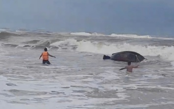 Lật thuyền, hai ngư dân rơi xuống biển