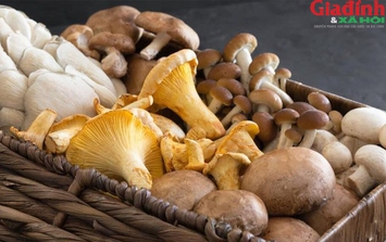 Loại thực phẩm thay thịt đỏ giúp giảm mỡ bụng rõ rệt, nghiên cứu chỉ ra ăn mỗi ngày cân nặng cũng đi xuống