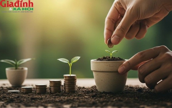 Càng sống đơn giản, tiền lại càng dễ tìm tới: Không phải mê tín, mà là 'quy luật'