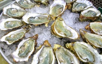 Những món ăn từ hàu siêu thơm ngon bổ dưỡng