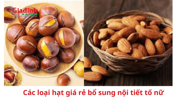 Các loại hạt giá rẻ bổ sung nội tiết tố nữ