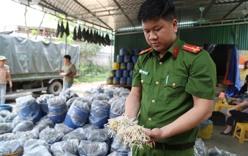 Quyết liệt triệt phá hàng giả, thực phẩm bẩn để bảo vệ người tiêu dùng