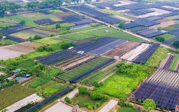 Nhiều quy định mới về đất đai có hiệu lực từ ngày 15-8
