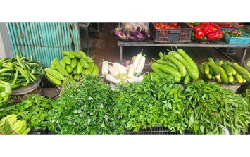 Loại củ ví như ‘nhân sâm mùa thu’ vào chính vụ, giá rẻ bèo, giúp thải độc gan, kiểm soát đường huyết