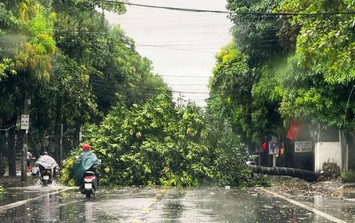 Bão số 5 áp sát đất liền, sức gió giật cấp 16 gây sóng cao đến 8m