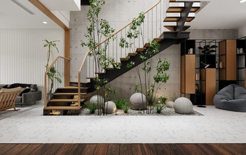 Vì sao nên để cây cảnh ở cầu thang? Top cây cảnh để cầu thang giúp căn nhà trở nên ấn tượng