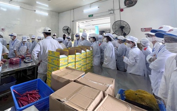 Tạm dừng sản xuất pate Cột Đèn và các chế phẩm từ thịt: Đồ hộp Hạ Long xử lý quyền lợi của người lao động ra sao?