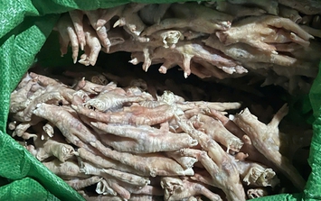 Phát hiện hơn 3 tấn chân gà đông lạnh trong bao dứa không rõ nguồn gốc