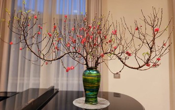 Bình hoa dáng chuông: Hòa quyện nghệ thuật và phong thủy cho mùa Tết