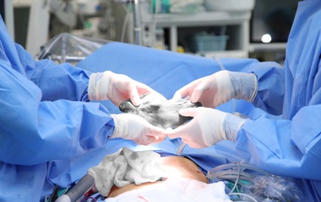 Người phụ nữ 46 tuổi phát hiện u gan kích thước lớn từ dấu hiệu nhiều người Việt mắc phải